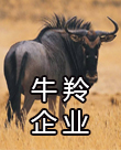 德易安荣获“2020年度牛羚企业”称号